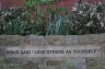 The planter at the front of the building, on the corner of Hedges Street. 